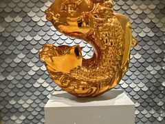 -阿五黄河大鲤鱼(海尚店)