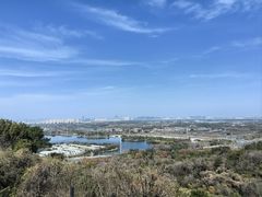 -绍兴镜湖国家城市湿地公园