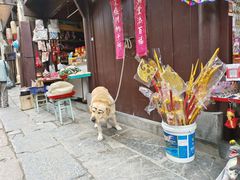 -高淳老街