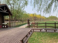 -西青郊野公园