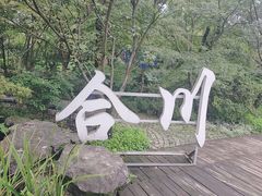 -南山植物园