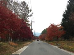 -富士山吉田線五合目