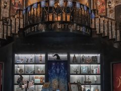 -雪灵魔法世界SHELLY’S TAROT(大良桂畔里店)