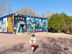 -朝阳公园游乐园