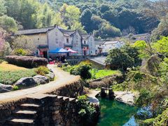 -雁南飞茶田景区