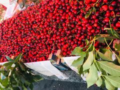 -三旗百汇商品城