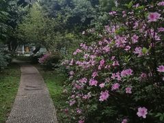 -广西大学(大学东路校区)