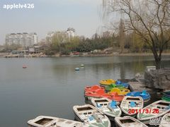 -紫竹院公园冰场