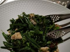 -三强鸽子(中原路店)
