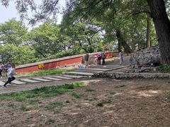 -阳台山自然风景区