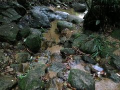 -火炉山森林公园