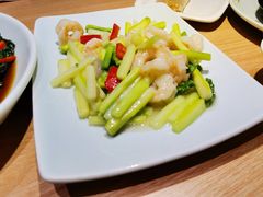 -南枝记