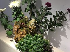 -汇龙潭