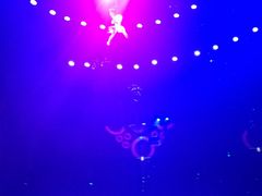 -珠海横琴长隆《卡卡虎奇遇记》