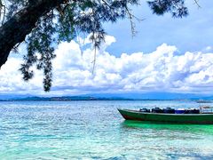 -东姑阿都拉曼海洋公园