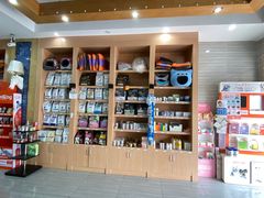 -瑞派名望志远动物医院·猫科·內科·异宠专科(直港大道店)