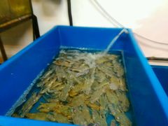 -ZF Seafood Restaurant 卓峰海鲜餐