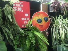 -前小桔亲子创意农场·草莓采摘·露营烧烤