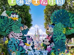 -上海迪士尼度假区