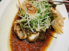 -沪碟·精菜坊(闵行店)
