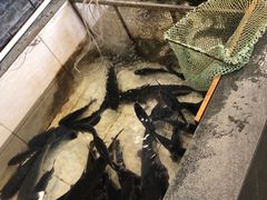 -铁锅炖灶台鱼老三炖鱼馆
