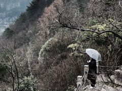 -黔灵山公园