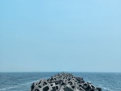 -东疆建设开发纪念公园