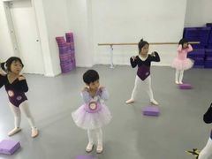 -西安小天鹅艺术团(金花路校区)