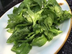 凉拌穿心莲-精灵农庄