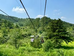 -磬锤峰森林公园