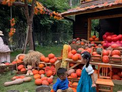 -HERRE·FARM 赫尔露营农场·团建聚会包场