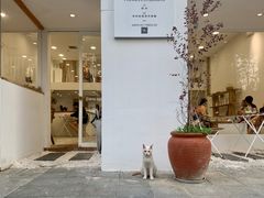 门面-追光 Dream Bakery(汉街店)