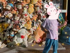 -青岛嘉年华主题乐园