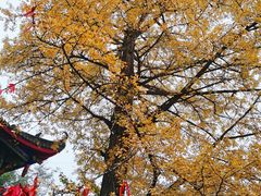 -金堂县云顶石城风景区