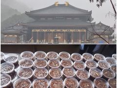 -午潮山国家森林公园