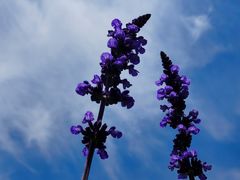 -长春公园(普阳街道)