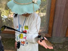 -野象谷景区
