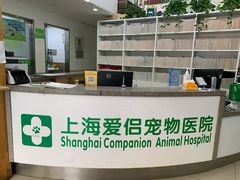 -爱侣宠医·鹦鹉专科·小型哺乳类·异宠专科(灵石路店)