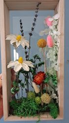 -敦南真爱月子会所(黄埔店)