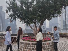 -瓦库茶馆17号(海汇港店)