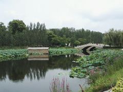 -白洋淀景区