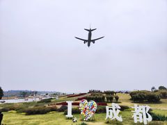-空港花田景区