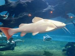 -华夏文旅西安度假区