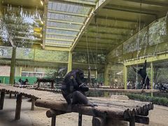 -北京野生动物园