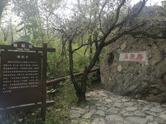 -阳台山自然风景区