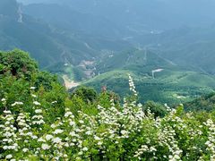 -白草畔自然风景区