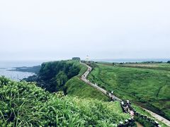 -涉地可支