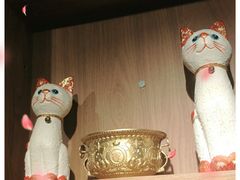 -梵猫·新养生(湛江鼎盛店)