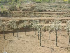 -山西通天峡景区