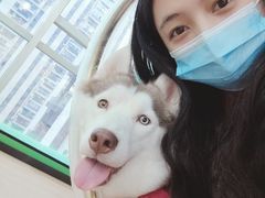 -Husky Go! 哈士奇体验馆·宠物咖啡厅狗咖